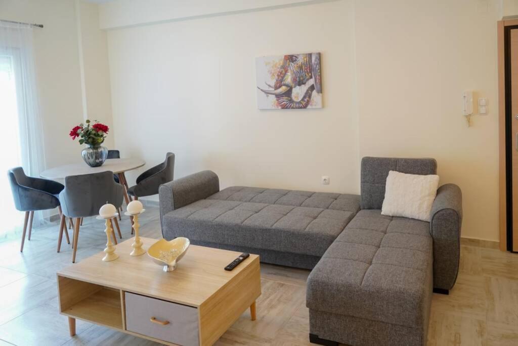 Modern Apartment In The City Center Ioannina Eksteriør billede